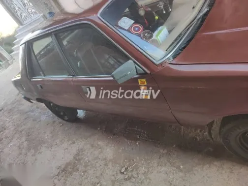 بيجو 305 1979 نبيتي مستعملة للبيع - 6