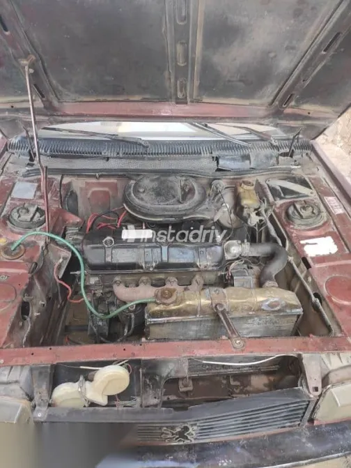 بيجو 305 1979 نبيتي مستعملة للبيع - 10