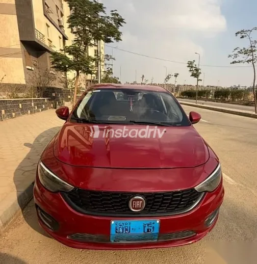 Fiat Tipo 2019 Burgundy Used for Sale - 2