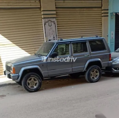Jeep Cherokee 1995 Gray Used for Sale - 1