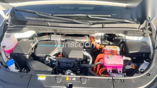 كيا كارنفال 2024 أبيض مستعملة للبيع - 4