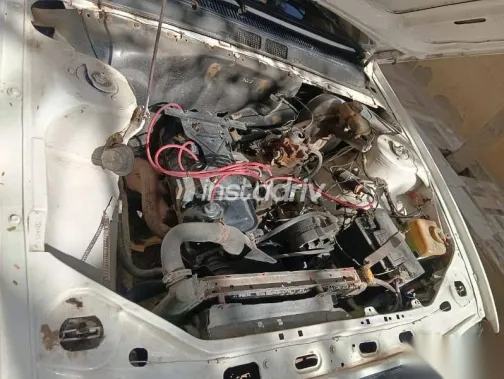 Peugeot 505 1980 Beige Used for Sale - 6