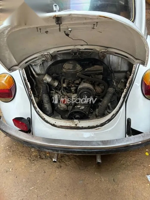 فولكس فاغن بيتل 1965 أبيض مستعملة للبيع - 3