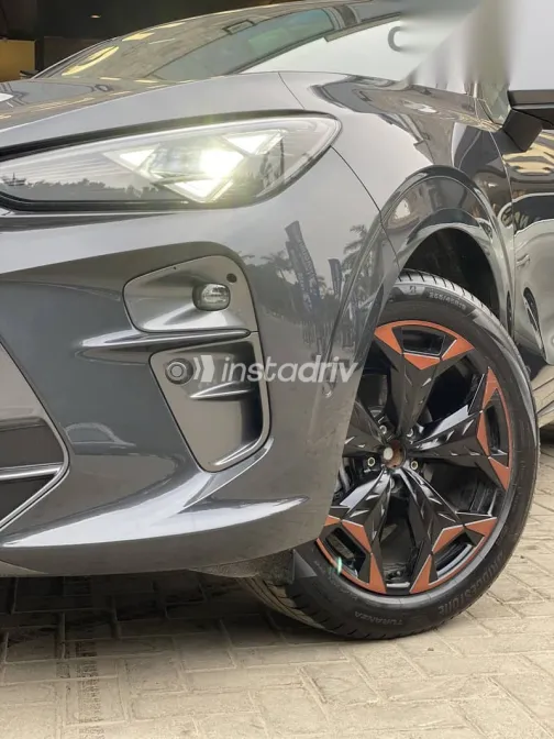 كوبرا تيرامار 2026 رمادي جديدة للبيع - 2