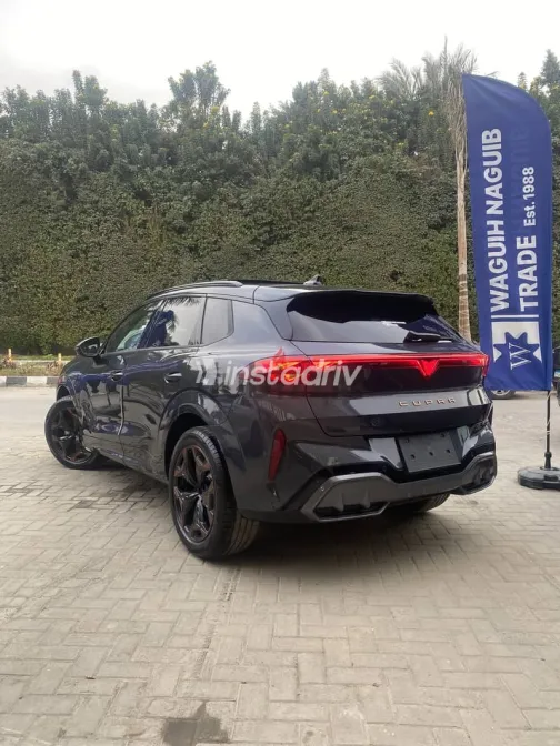 كوبرا تيرامار 2026 رمادي جديدة للبيع - 4