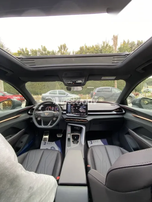 كوبرا تيرامار 2026 رمادي جديدة للبيع - 5