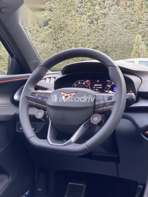 كوبرا تيرامار 2026 رمادي جديدة للبيع - 6