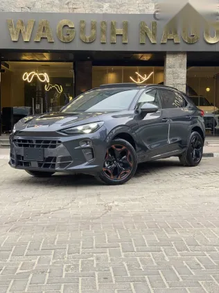 كوبرا تيرامار 2026 رمادي جديدة للبيع