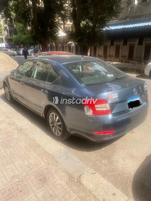 سكودا اوكتافيا 2016 أبيض مستعملة للبيع - 2