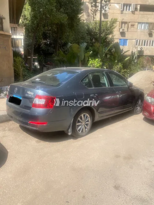 سكودا اوكتافيا 2016 أبيض مستعملة للبيع - 3