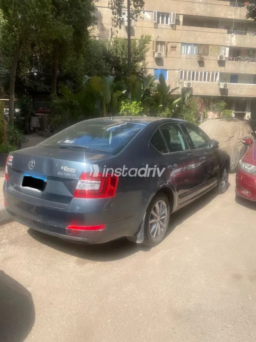 سكودا اوكتافيا 2016 أبيض مستعملة للبيع - 4