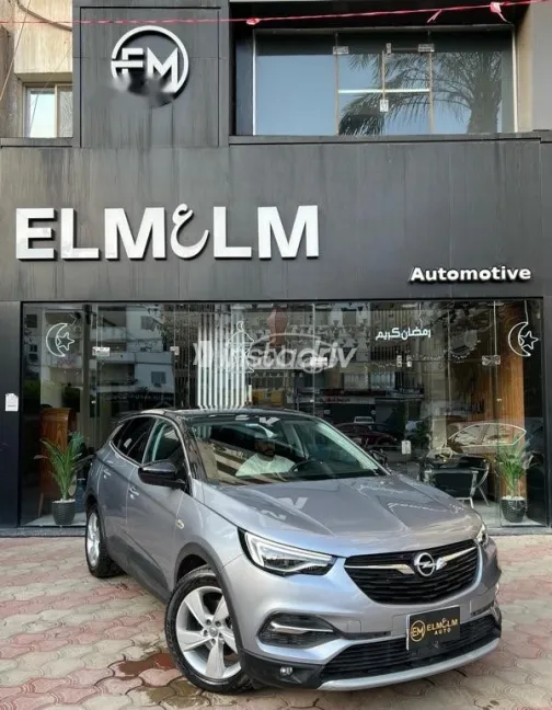 اوبل جراند لاند 2021 رمادي مستعملة للبيع - 2