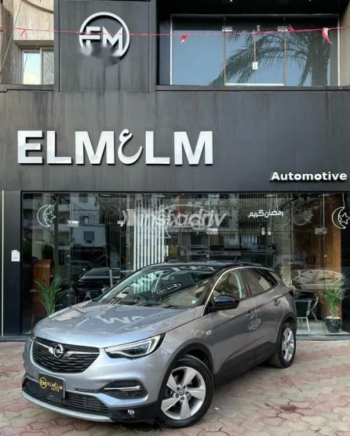 اوبل جراند لاند 2021 رمادي مستعملة للبيع - 3