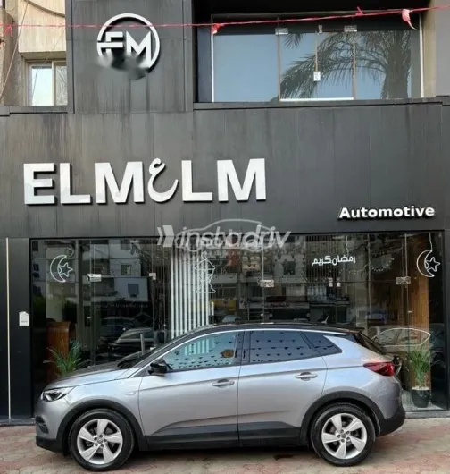 اوبل جراند لاند 2021 رمادي مستعملة للبيع - 4