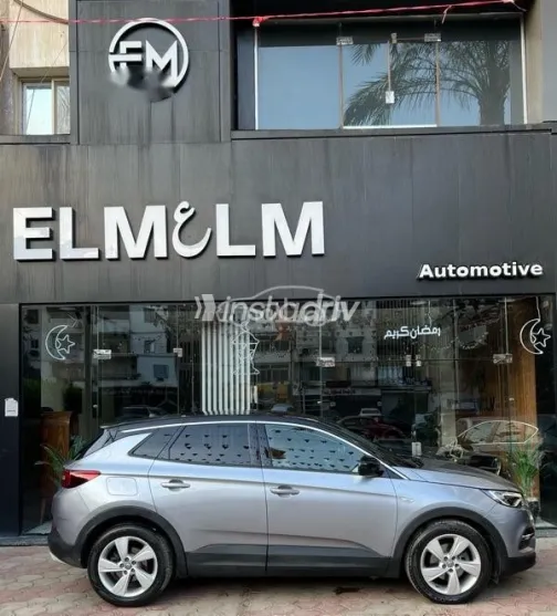 اوبل جراند لاند 2021 رمادي مستعملة للبيع - 5