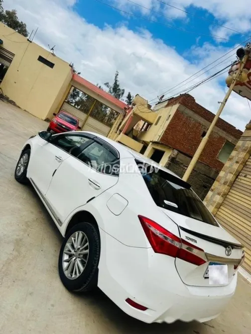 تويوتا كورولا 2015 أبيض مستعملة للبيع - 2