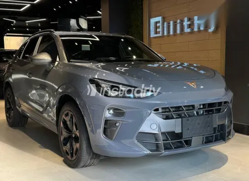 كوبرا تيرامار 2025 رمادي جديدة للبيع - 1