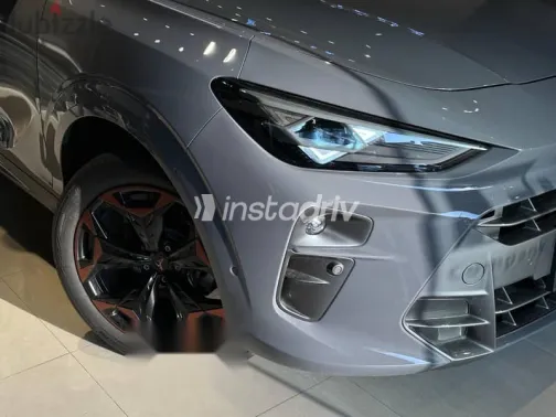 كوبرا تيرامار 2025 رمادي جديدة للبيع - 2