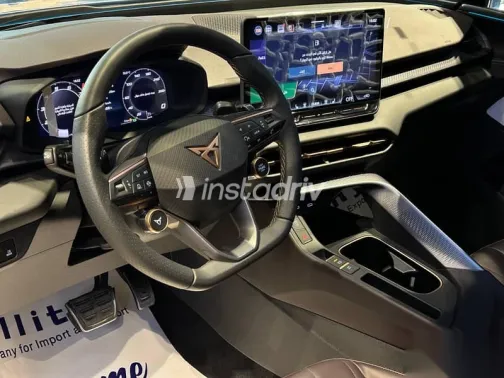 كوبرا تيرامار 2025 رمادي جديدة للبيع - 3