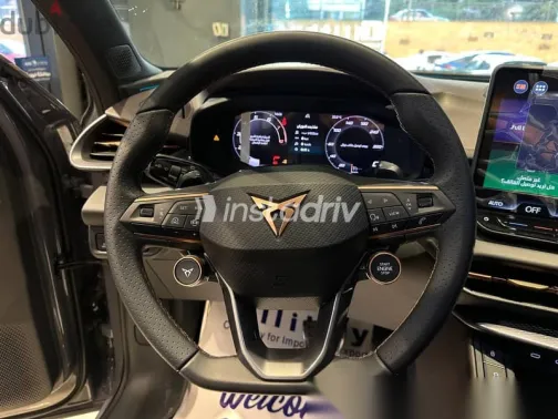 كوبرا تيرامار 2025 رمادي جديدة للبيع - 4