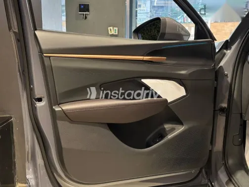 كوبرا تيرامار 2025 رمادي جديدة للبيع - 10