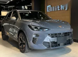 كوبرا تيرامار 2025 رمادي جديدة للبيع