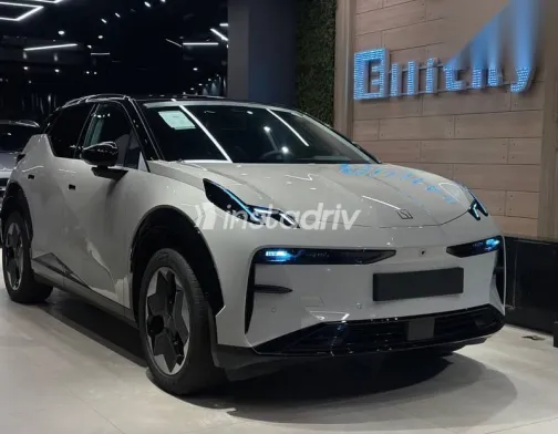 Zeekr X 2025 White New for Sale - 1