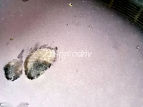 لادا 1200 1998 أبيض مستعملة للبيع - 9