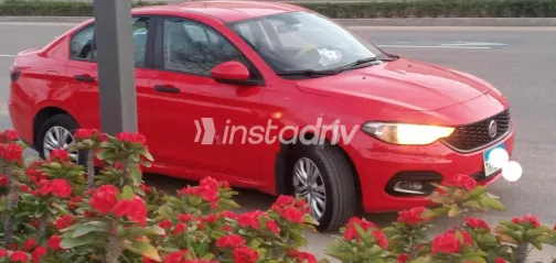 فيات تيبو 2019 أبيض مستعملة للبيع - 2