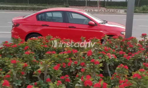 فيات تيبو 2019 أبيض مستعملة للبيع - 3