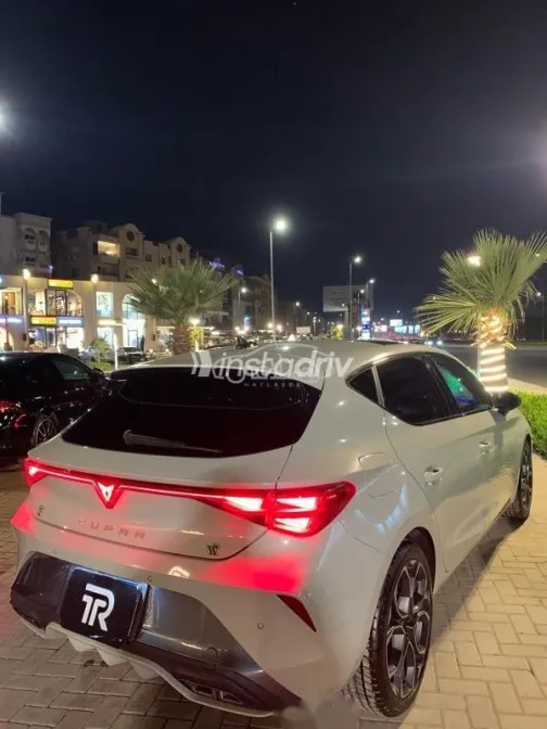 كوبرا ليون 2025 بيج مستعملة للبيع - 4