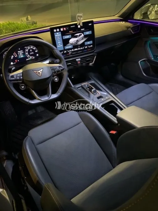 كوبرا ليون 2025 بيج مستعملة للبيع - 5