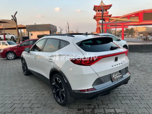 كوبرا فورمينتور 2023 أبيض مستعملة للبيع - 6