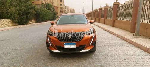 بيجو 2008 2021 أبيض مستعملة للبيع - 8