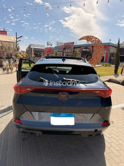 كوبرا فورمينتور 2022 أبيض مستعملة للبيع - 2