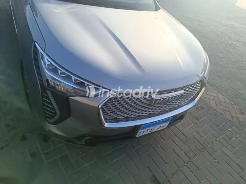 هافال جوليان 2022 رمادي مستعملة للبيع - 1