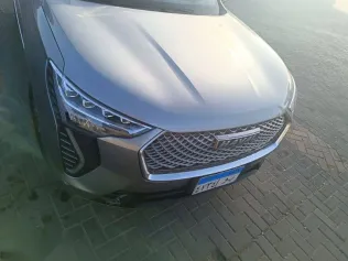 هافال جوليان 2022 رمادي مستعملة للبيع