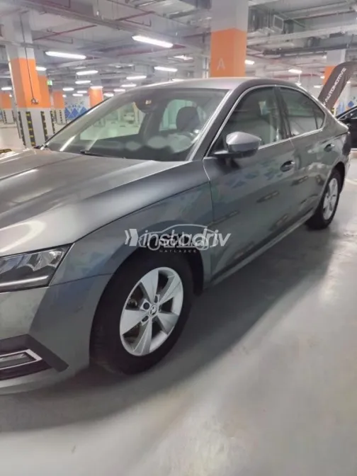 سكودا اوكتافيا 2024 رمادي مستعملة للبيع - 1