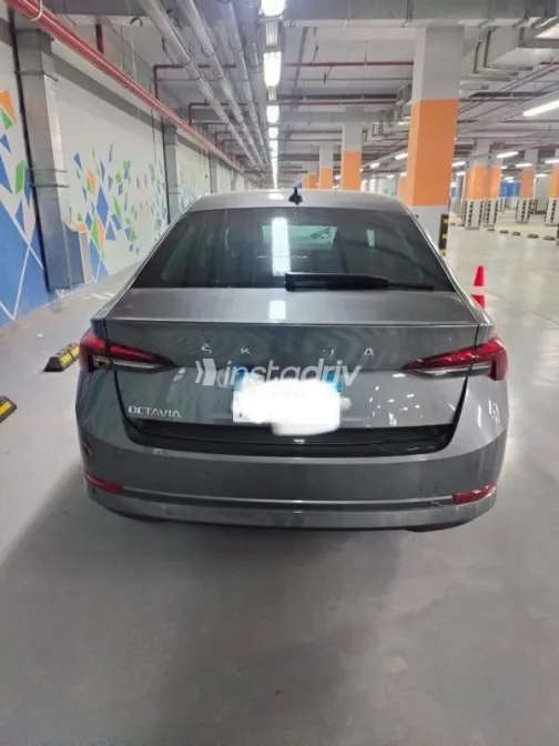 سكودا اوكتافيا 2024 رمادي مستعملة للبيع - 4