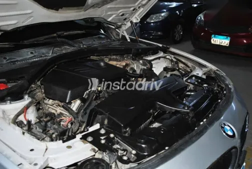 BMW 316 2015 Silver Used for Sale - 5