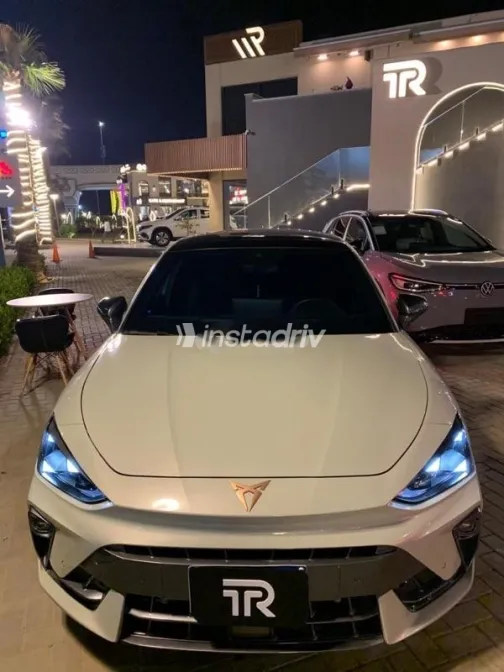 كوبرا ليون 2025 بيج مستعملة للبيع - 2