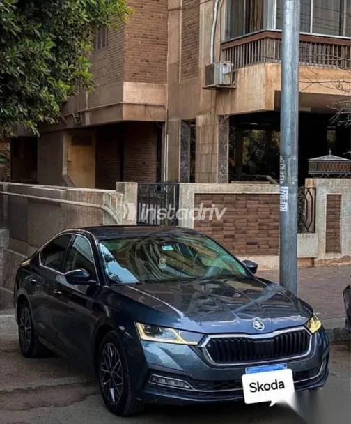 Skoda Octavia 2021 Gray Used for Sale - 2