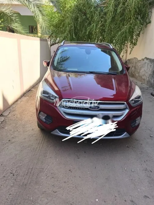 فورد كوجا 2019 أبيض مستعملة للبيع - 2