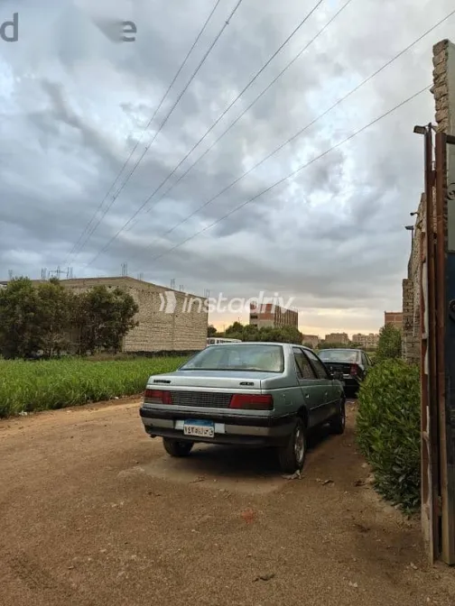 بيجو 405 1988 رمادي مستعملة للبيع - 4