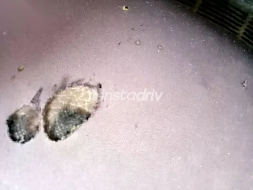 لادا 1200 1978 أبيض مستعملة للبيع - 9