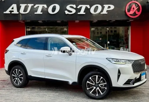 هافال H6 2022 أبيض مستعملة للبيع - 5