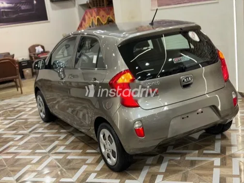 Kia Picanto 2015 Gold Used for Sale - 4