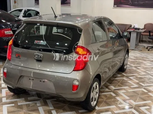 Kia Picanto 2015 Gold Used for Sale - 5