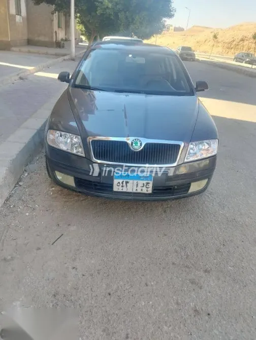 Skoda Octavia 2007 Gray Used for Sale - 9