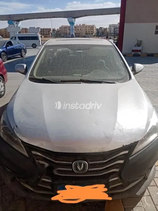 Changan Eado 2022 White Used for Sale - 3